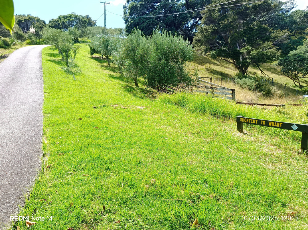 Kennedy Point Vineyard-Surfdale必去景点