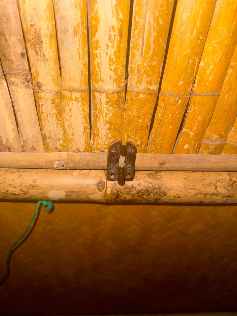 绿景海滩度假村-官方