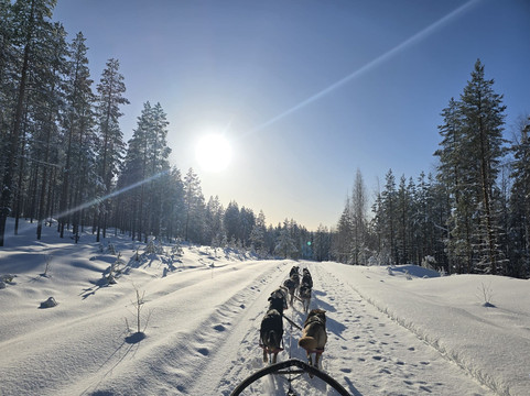 Wild Lapland-Rusktrask必去景点