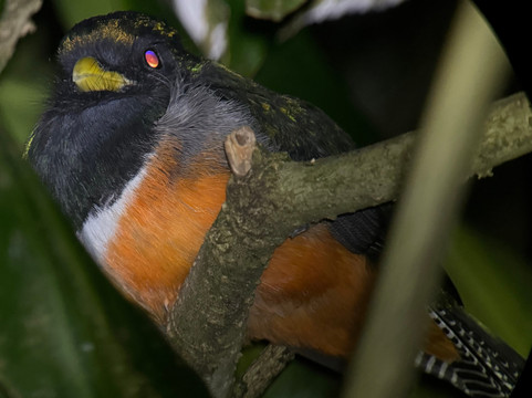 Monteverde Nature Tracks-蒙特沃德必去景点