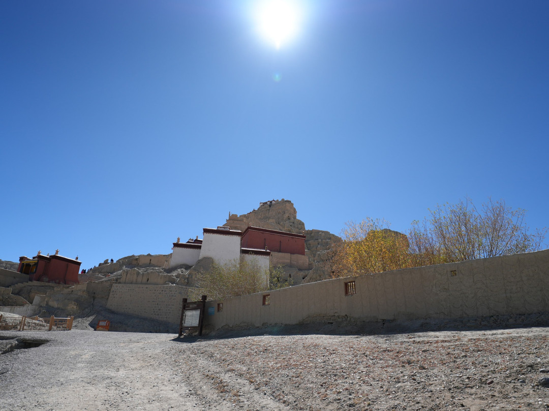 Amazing Xizang Tour-拉萨市必去景点