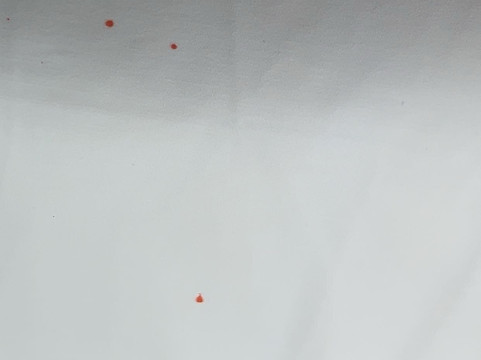 帕诺公寓式酒店主图