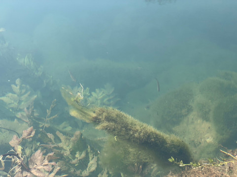 River Krupa Spring-Semic必去景点