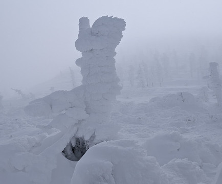 Yamagata Zao Onsen Ski Resort-山形市必去景点
