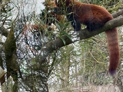 Manor Wildlife Park-St. Florence必去景点