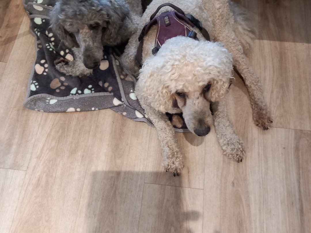 盐之山林小屋主图