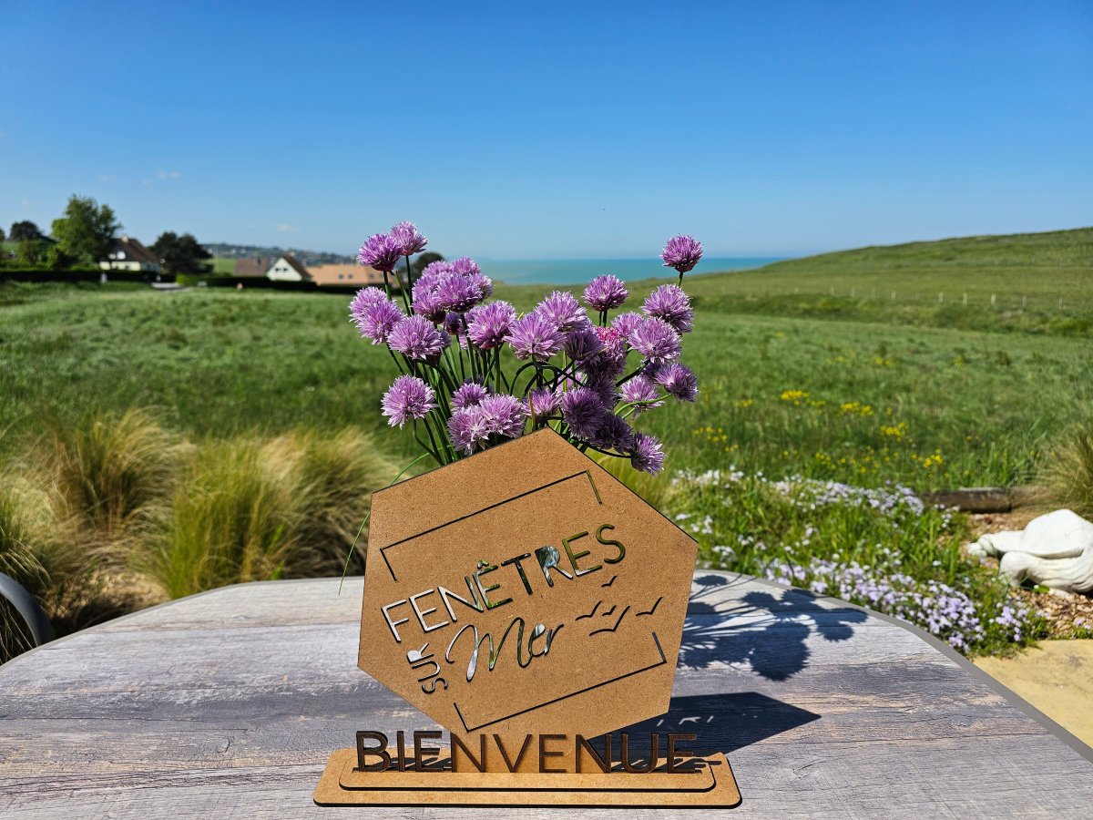 菲尼特雷海之酒店-官方