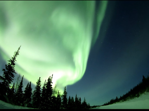 Discover Churchill Tours-丘吉尔必去景点