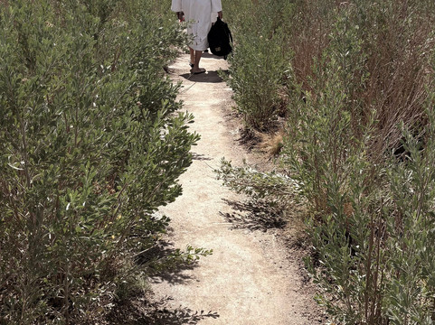 Laguna Cejar-圣佩德罗-德阿塔卡马必去景点