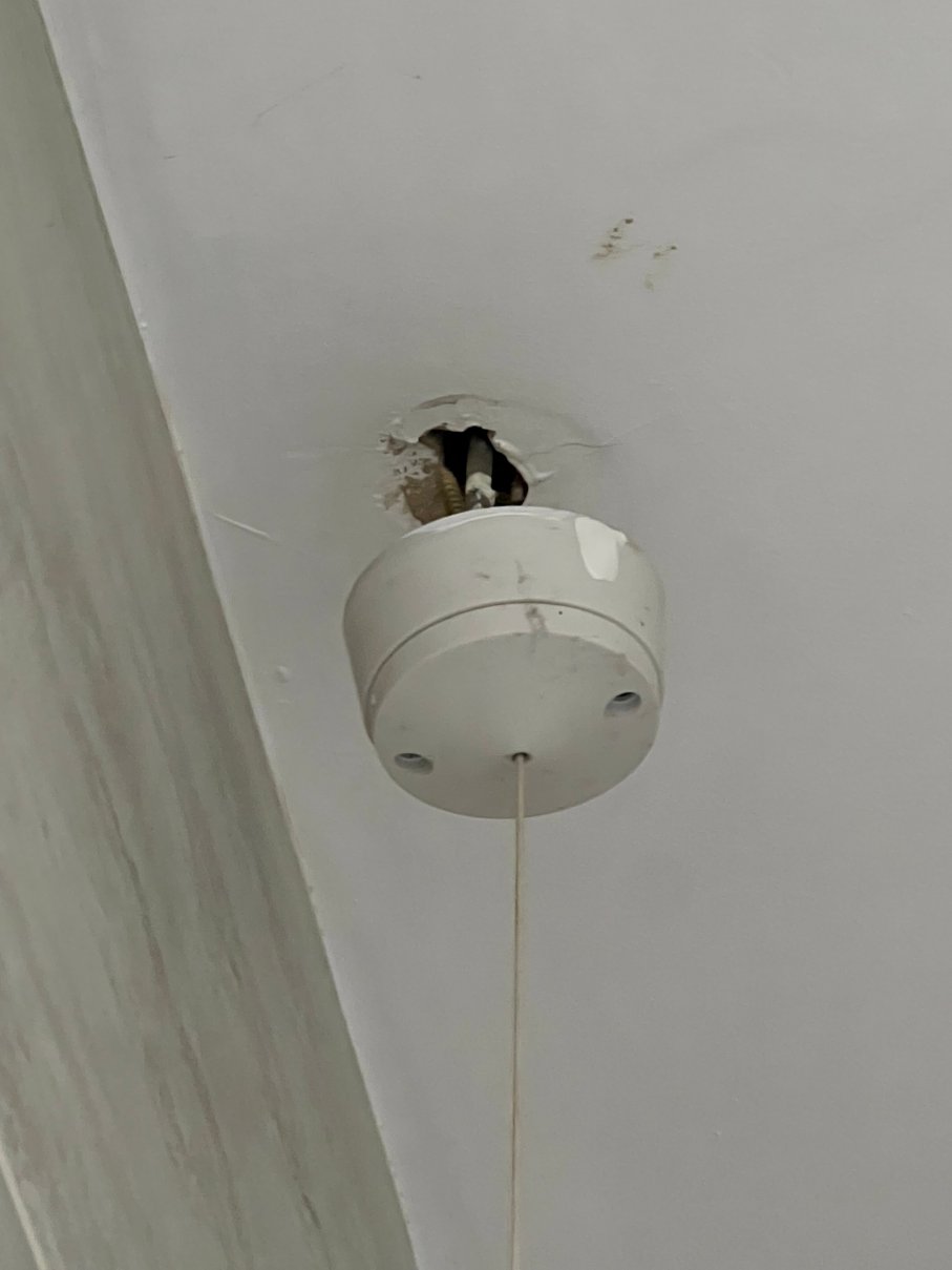 丁尼生酒店-官方