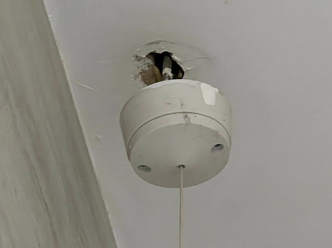 丁尼生酒店主图