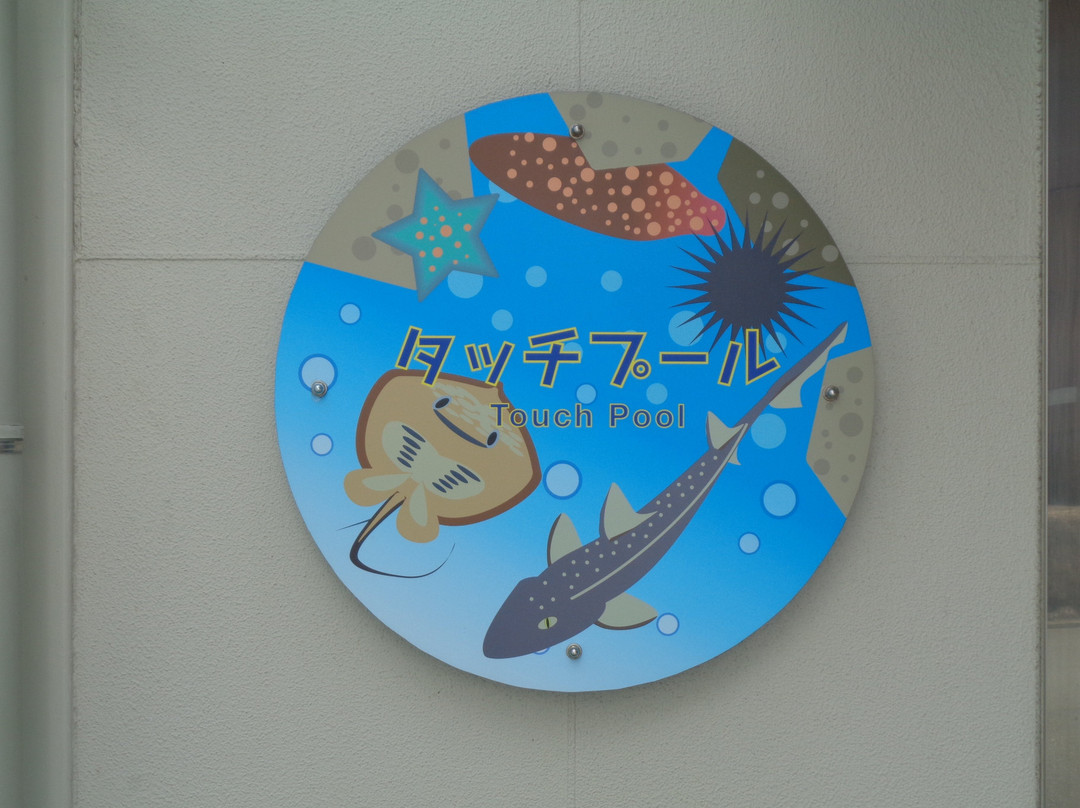 Himeji City Aquarium-姬路市必去景点