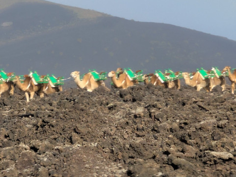 Rotonda De Los Camellos-Uga必去景点