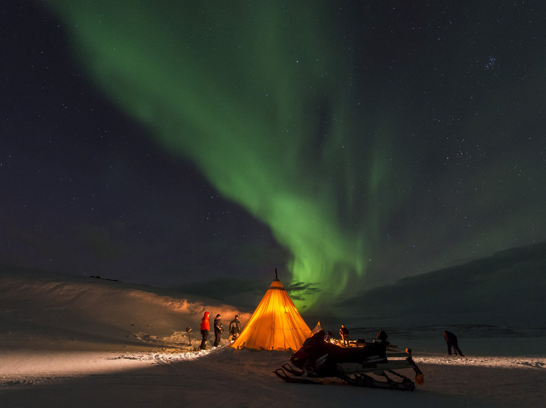 Nordkyn Nordic Safari-Mehamn必去景点