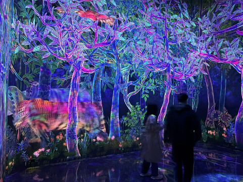 teamLab Planets TOKYO-Toyosu必去景点