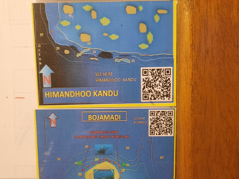 Diving Bluetribe Moofushi-南阿里环礁必去景点