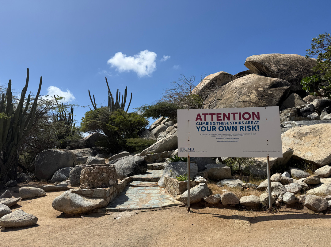 De Palm Tours-奥腊涅斯塔德必去景点