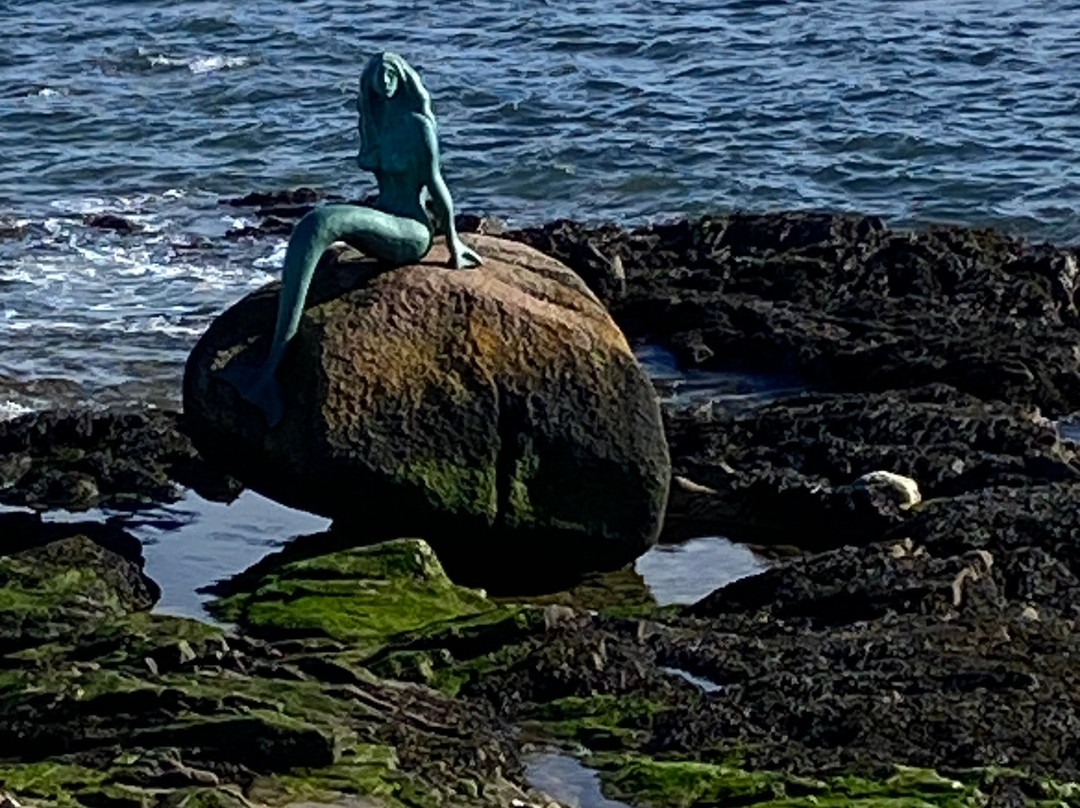 Mermaid of the North-Balintore必去景点