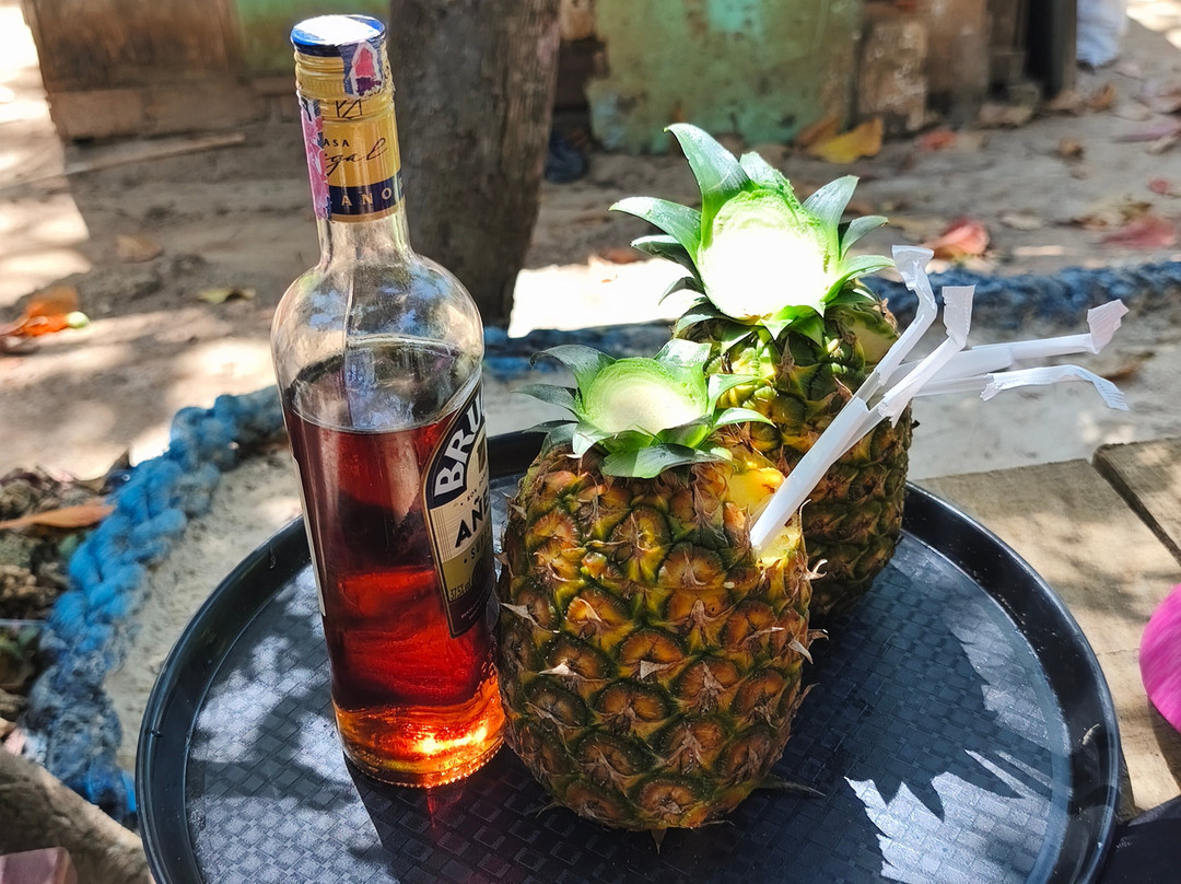 Gregory Tours Samana-Santa Barbara de Samana必去景点