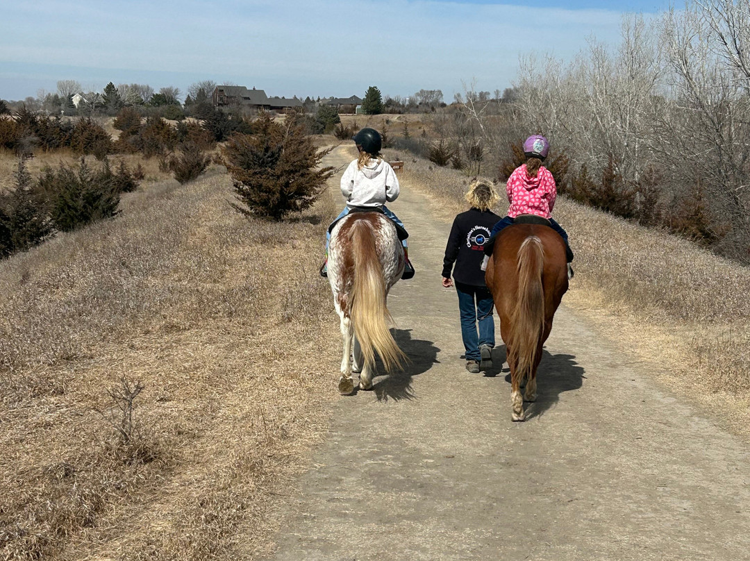 Christine's Horseback Riding-卡尼必去景点