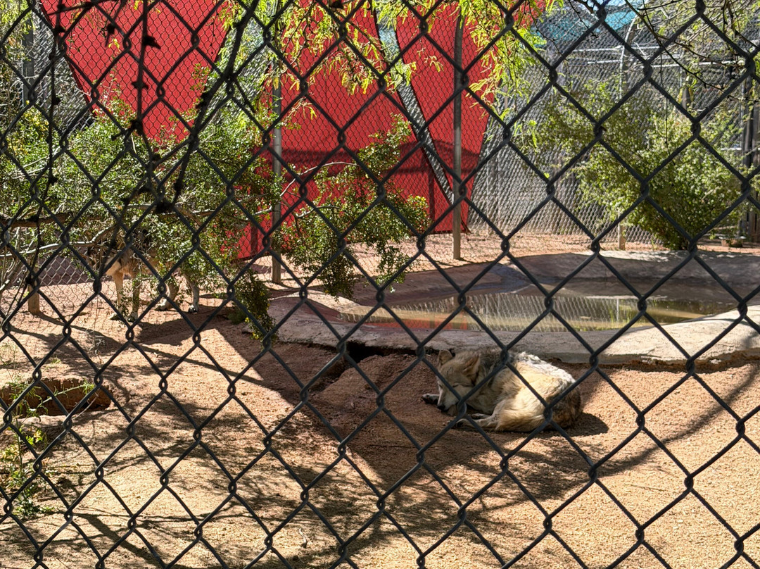 Southwest Wildlife Conservation Center-斯科茨代尔必去景点