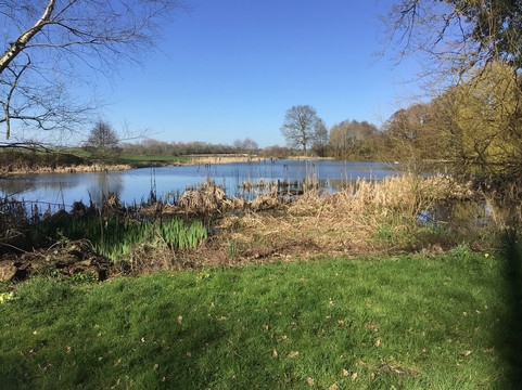 Kelmarsh Hall & Gardens-Kelmarsh必去景点