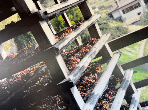 Dario Coos-Nimis必去景点