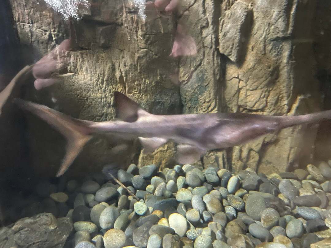 Wildlife World Zoo and Aquarium-Litchfield Park必去景点