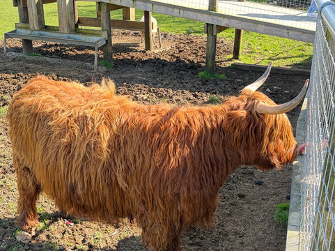 科茨沃尔德农场公园-Kineton必去景点