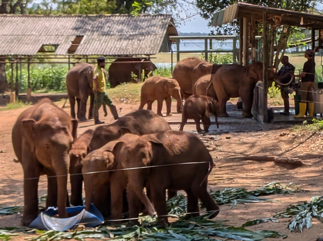 C&C travel Sri Lanka-Minuwangoda必去景点