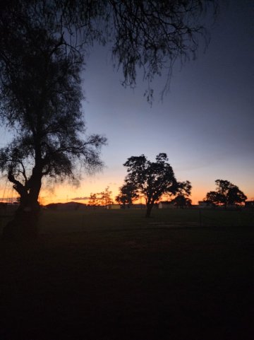 Narromine Aerodrome Tourist Park & Motel-官方