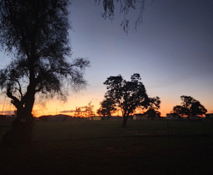 Narromine Aviation Museum-Narromine必去景点
