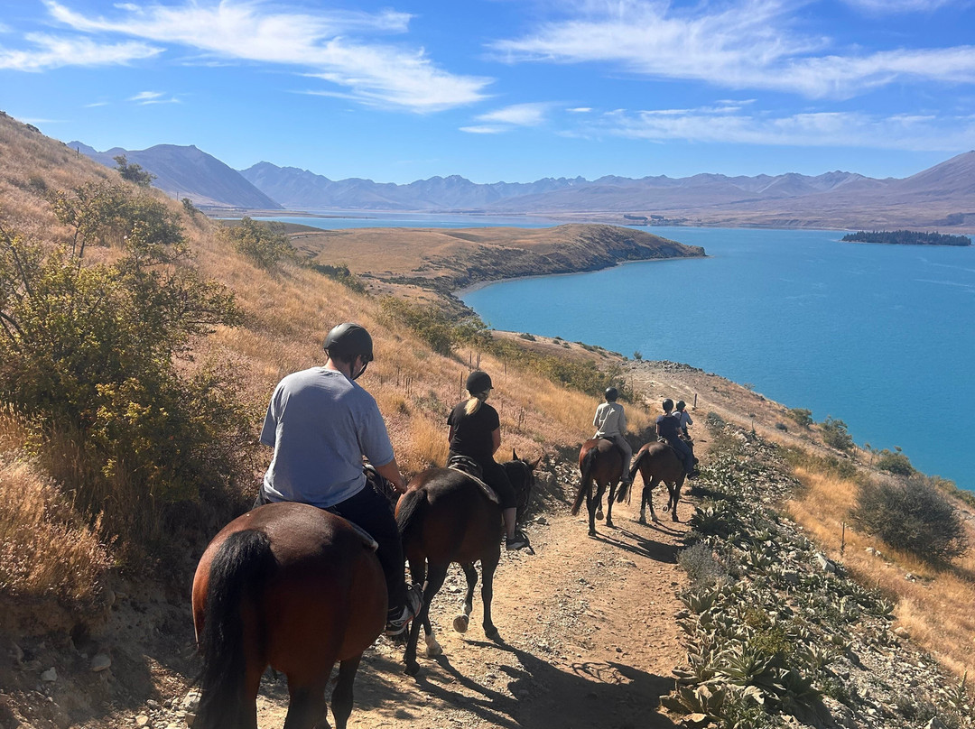 麦肯西高山骑马之旅－一日游-特卡波湖必去景点