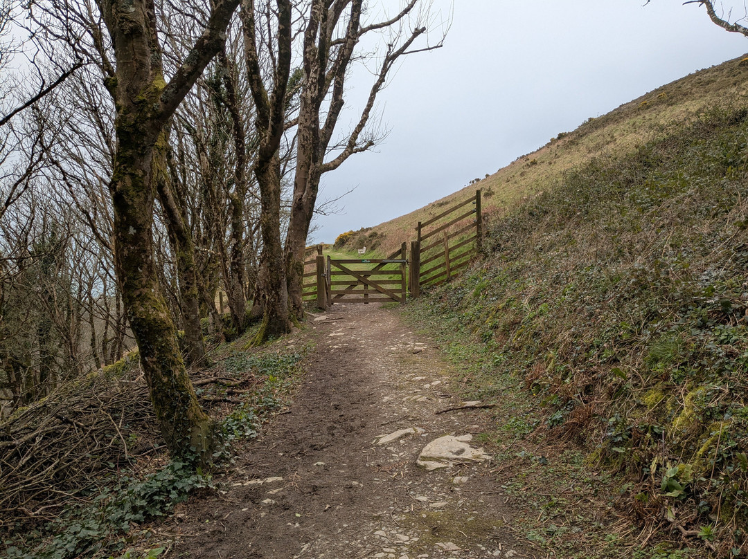 Valley of Rocks Walk-South West Coast Path-林顿必去景点