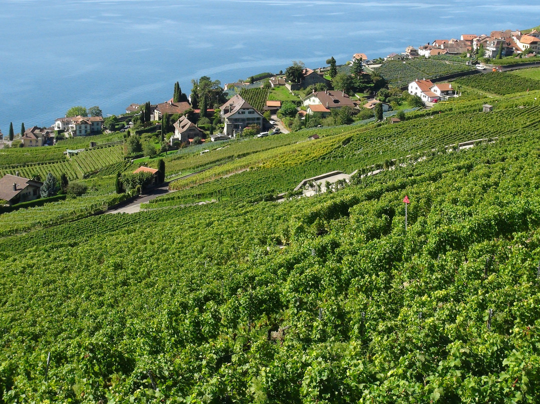 Photo Spot Lavaux-谢布尔必去景点