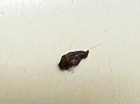 新奥尔良机场南舒适酒店主图