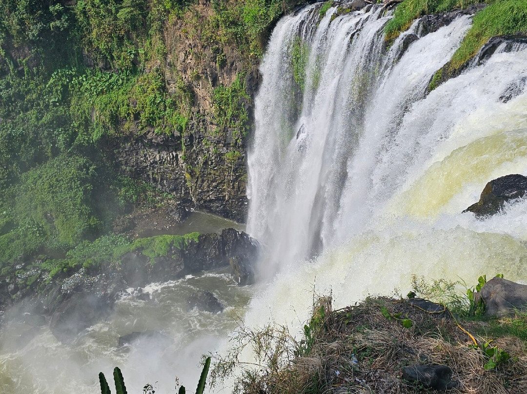 Salto de Eyipantla-San Andres Tuxtla必去景点