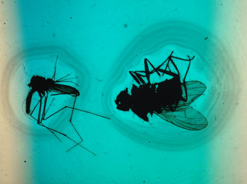 Pohjoisen Valokuvakeskus-奥卢必去景点