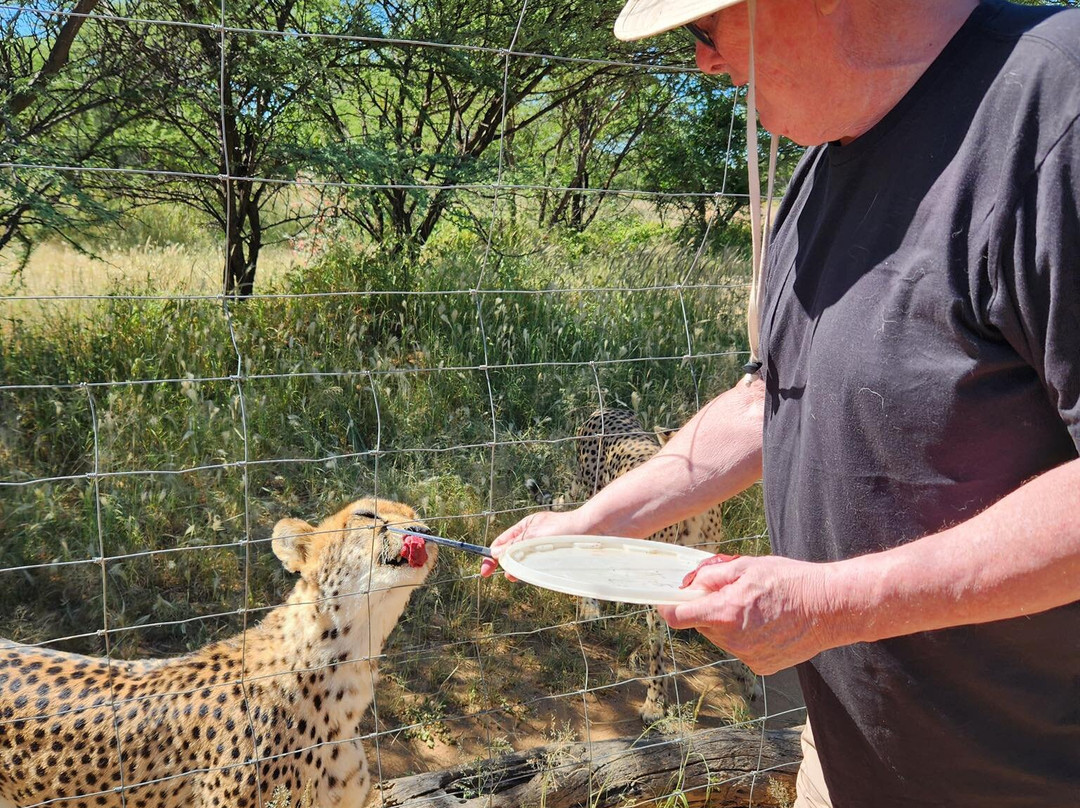 Cheetah Conservation Fund-奥奇瓦龙戈必去景点