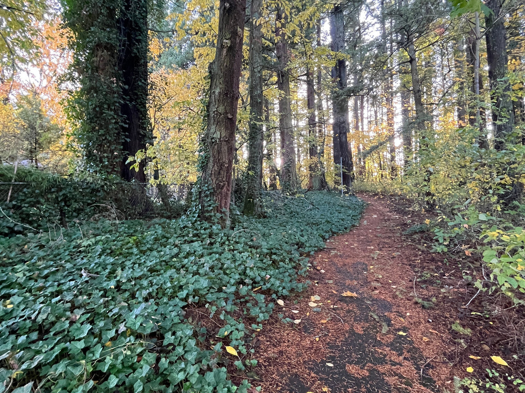 Kane Road Park-格雷舍姆必去景点