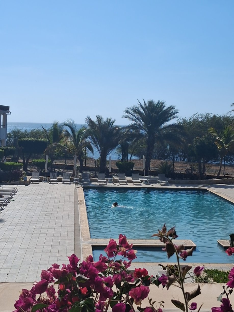 佩斯塔纳热带酒店 - 海洋城市酒店-官方