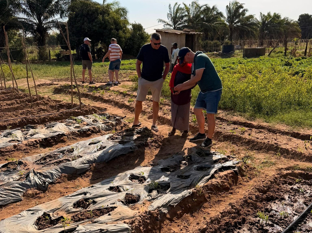 Tour Gambia-Brusubi必去景点