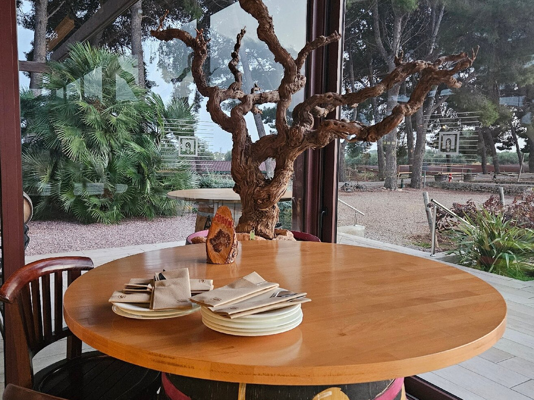 Cellers Avgvstvs Forvm-El Vendrell必去景点