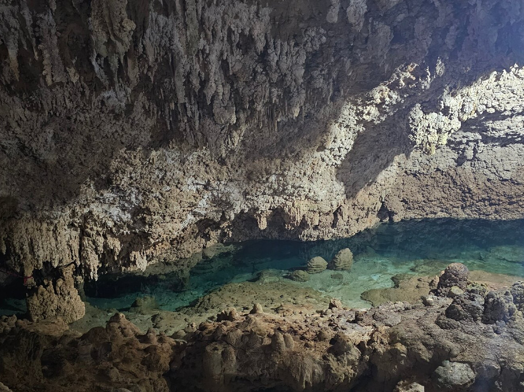 Cenotes Tamcach-Ha & Choo-Ha-Coba必去景点