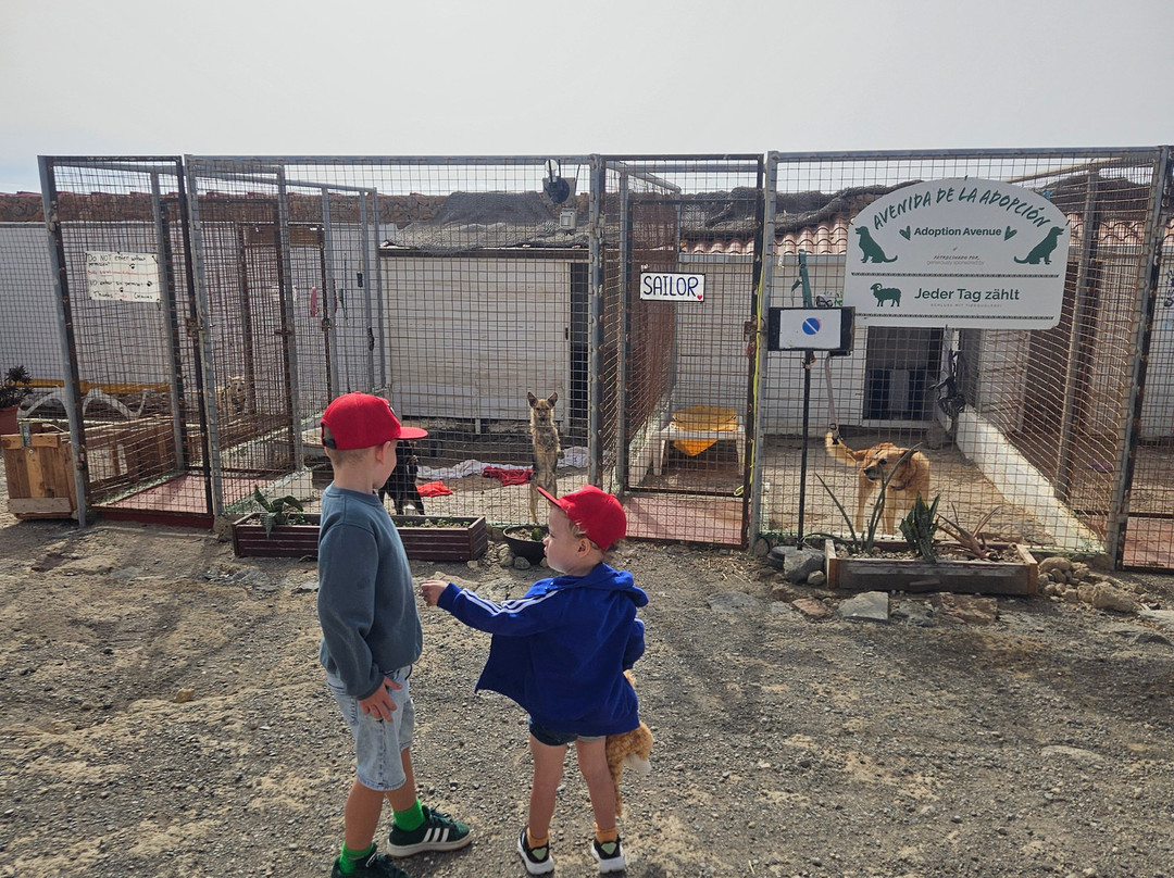 Tenerife Animal Sanctuary-圣克鲁斯-德特内里费必去景点