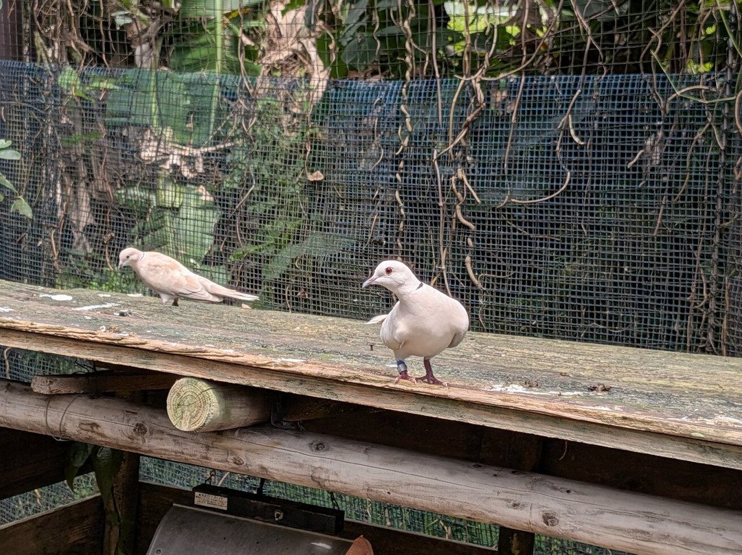 东南植物乐园-冲绳市必去景点