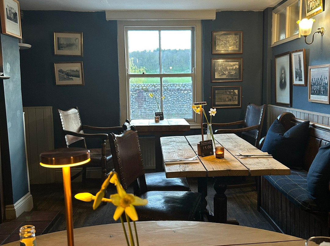 斯蒂夫基红狮主图