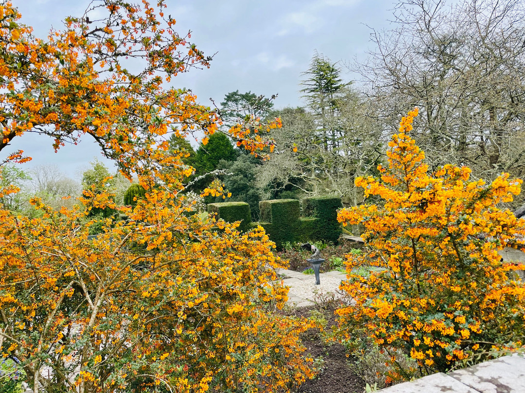 Upton Castle Gardens-Cosheston必去景点