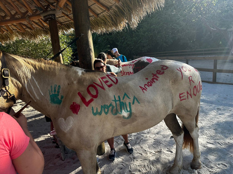 The Aerial, BVI主图