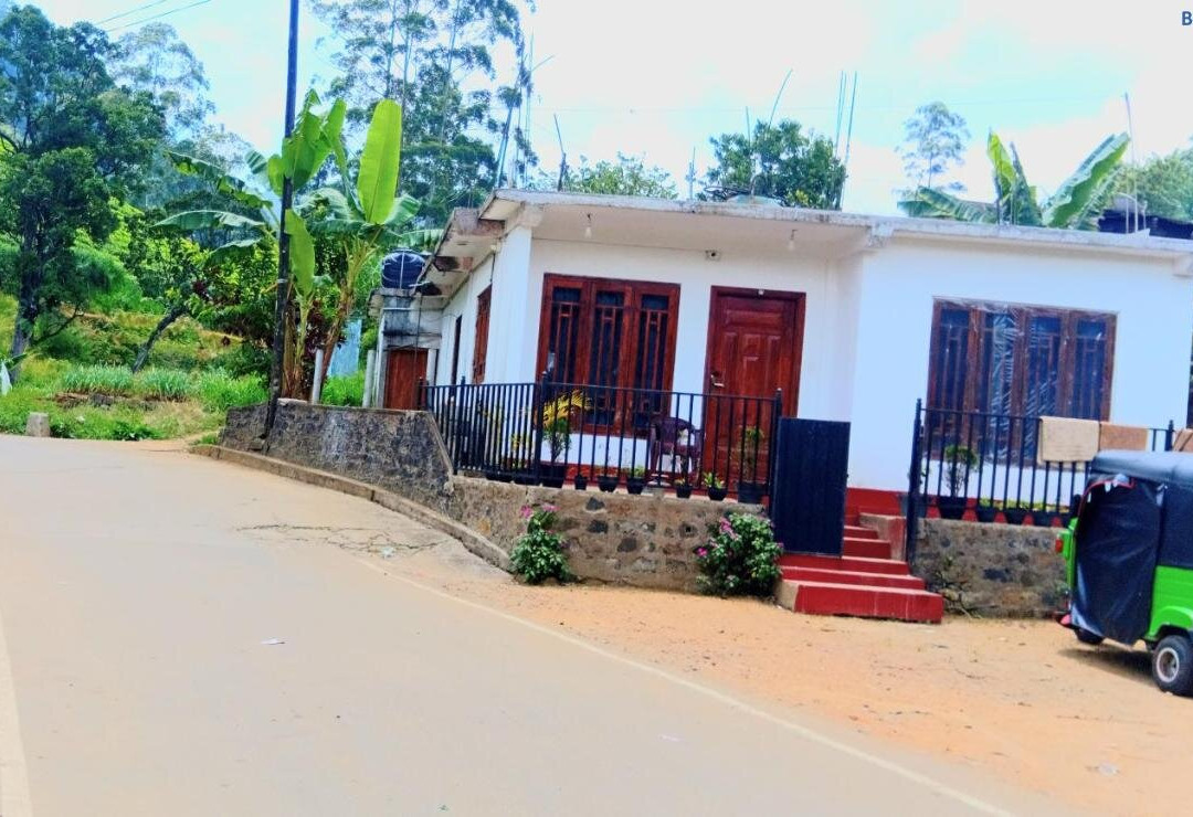 Stay Logi Nanuoya